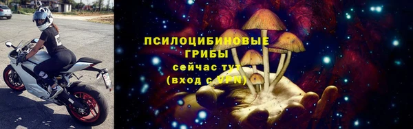 МДПВ Абаза