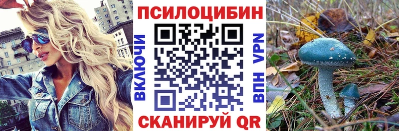Псилоцибиновые грибы GOLDEN TEACHER Дятьково